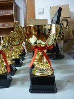 供應(yīng)上海金屬獎(jiǎng)杯制作、周年活動(dòng)紀(jì)念品、評(píng)選大會(huì)獎(jiǎng)品、獎(jiǎng)牌_禮品、工藝品、飾品_世界工廠網(wǎng)中國(guó)產(chǎn)品信息庫(kù)